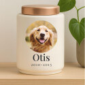 Personalised Ceramic Pet Urn with Photo in a Halo Frame –  Dog Cremation Urn for Ashes with Name, Dates & Stainless Steel Lid