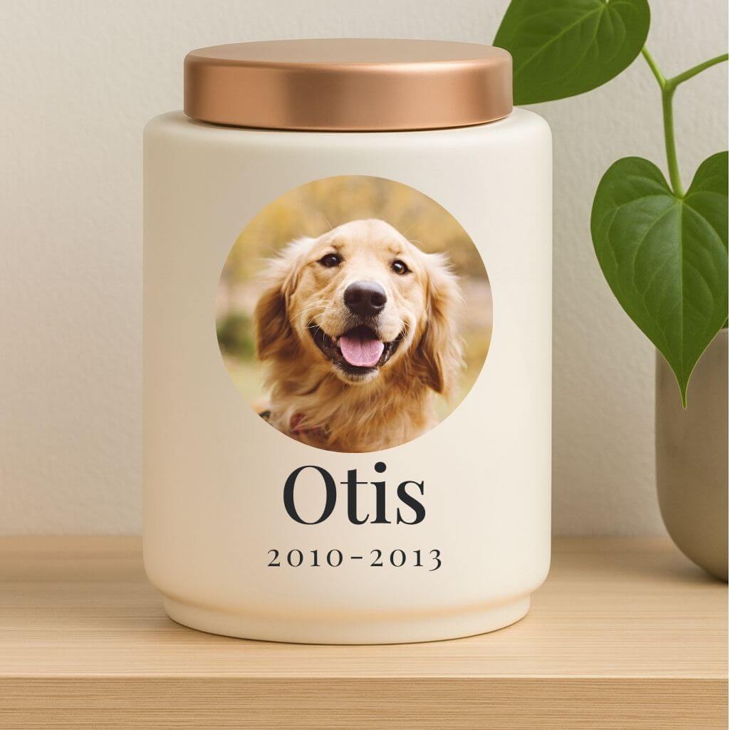 Personalised Ceramic Pet Urn with Photo in a Halo Frame –  Dog Cremation Urn for Ashes with Name, Dates & Stainless Steel Lid