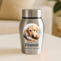 Personalised Pet Urn with Photo in a Halo Frame with Name & Dates – Stainless Steel Dog Urn