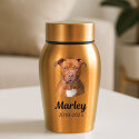 Personalised Pet Urn with Photo, Name & Dates – Stainless Steel Dog Urn