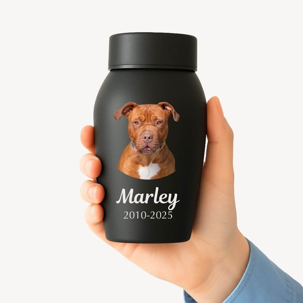 Personalised Pet Urn with Photo, Name & Dates – Stainless Steel Dog Urn