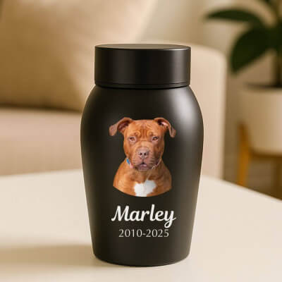 Personalised Pet Urn with Photo, Name & Dates –...