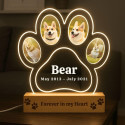 Personalised Pet Memorial LED Lamp with 4 Photos – Paw-shaped Acrylic Plaque with Engraved Name & Dates
