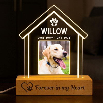 Personalised Pet Memorial LED Lamp with Photo –...