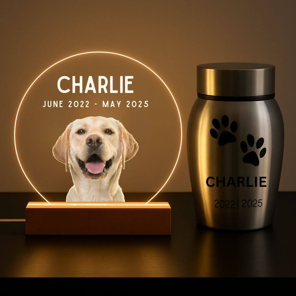 Personalised Pet Memorial LED Lamp with Photo – Round Acrylic Plaque with Engraved Name & Dates