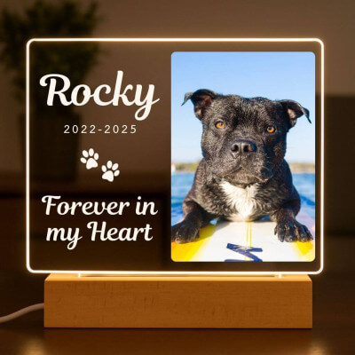 Personalised Pet Memorial LED Lamp with Photo –...