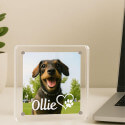 Personalised Square Acrylic Pet Memorial Photo Frame – Engraved with Name & Heart Paw Design