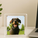 Personalised Square Acrylic Pet Memorial Photo Frame