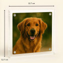 Personalised Square Acrylic Pet Memorial Photo Frame