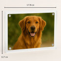 Personalised Rectangular Acrylic Pet Memorial Photo Frame