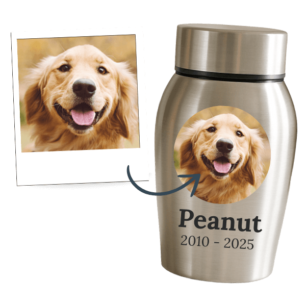 Pesonalised Pet Urns